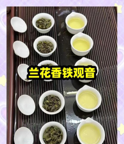 2024年铁观音多少钱一斤 2024年铁观音多少钱一斤