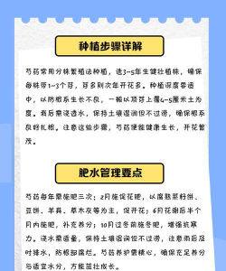 什么时候适合种植芍药 什么时候适合种植芍药