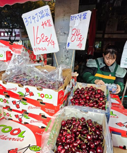 2024车厘子价格多少钱一斤 2024车厘子价格多少钱一斤