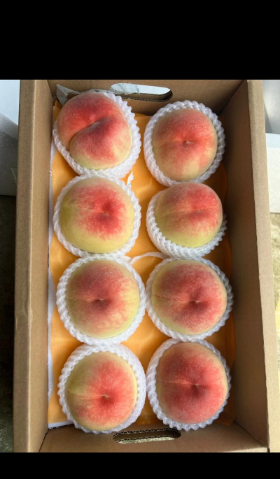 2024年水蜜桃多少钱一斤 2024年水蜜桃多少钱一斤