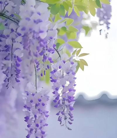 紫色什么花有哪些 紫色什么花有哪些