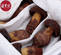 2024年牛肝菌多少钱一斤 2024年牛肝菌多少钱一斤