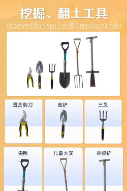 种花工具都要什么 种花工具都要什么
