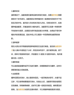 油麦菜的种植时间和方法 油麦菜的种植时间和方法