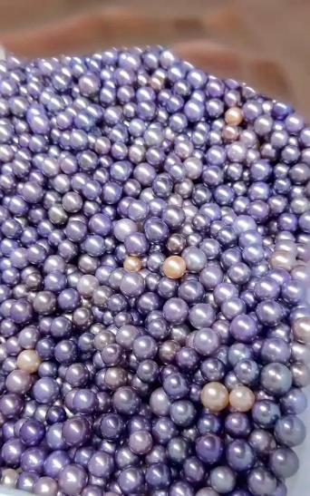 紫珍珠颜色变浅为什么 紫珍珠颜色变浅为什么