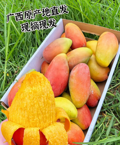 2024年贵妃芒果多少钱一斤 2024年贵妃芒果多少钱一斤