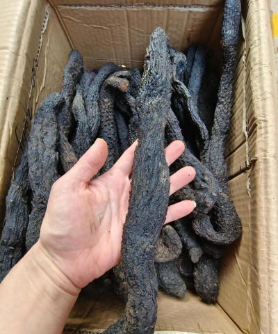 2024年草苁蓉多少钱一斤 2024年草苁蓉多少钱一斤