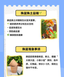 栽培花卉为什么要换土 栽培花卉为什么要换土