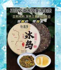 2024年正宗冰岛茶多少钱一斤 2024年正宗冰岛茶多少钱一斤
