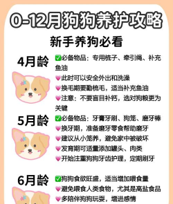 怎么养犬 怎么养犬
