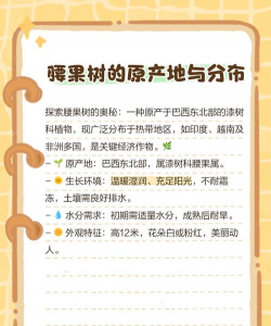 腰果长在哪里 腰果长在哪里