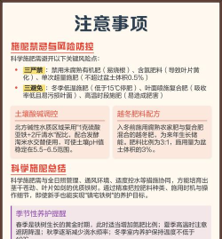 铁树需施什么肥好 铁树需施什么肥好