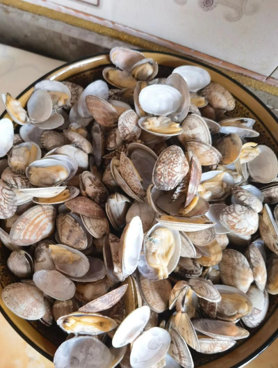 2024年花甲多少钱一斤 2024年花甲多少钱一斤