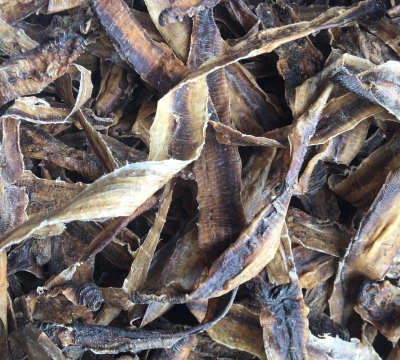 2024年蚯蚓干多少钱一斤 2024年蚯蚓干多少钱一斤