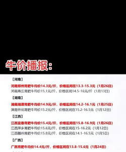 2024年黄牛肉多少钱一斤 2024年黄牛肉多少钱一斤