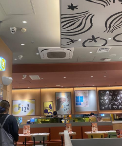 2024年牛排多少钱一斤 2024年牛排多少钱一斤