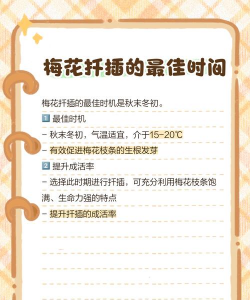 梅花如何扦插繁殖 梅花如何扦插繁殖