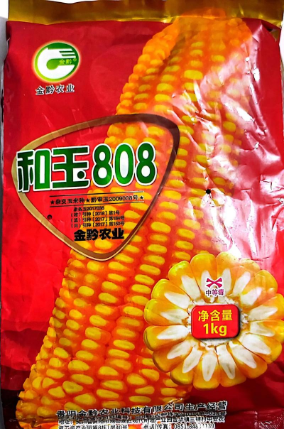 2024年玉米种子多少钱一斤 2024年玉米种子多少钱一斤