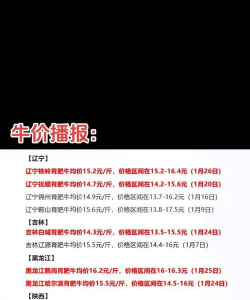 2024年牛里脊多少钱一斤 2024年牛里脊多少钱一斤