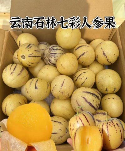 2024年人参果多少钱一斤 2024年人参果多少钱一斤