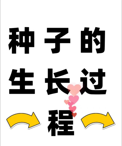 大吉种子怎么种植 大吉种子怎么种植