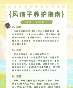 风信子花的养殖方法和注意事项 风信子花的养殖方法和注意事项