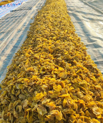 2024年鸡内金多少钱一斤 2024年鸡内金多少钱一斤