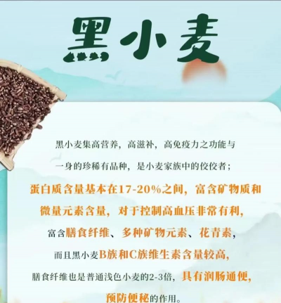 2024年黑小麦多少钱一斤 2024年黑小麦多少钱一斤