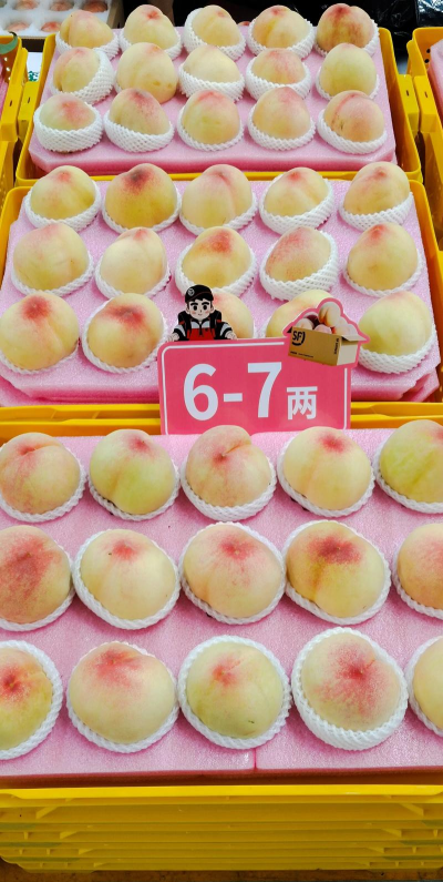 2024年阳山水蜜桃多少钱一斤 2024年阳山水蜜桃多少钱一斤