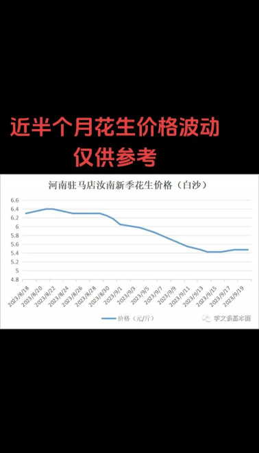 2024年花生多少钱一斤 2024年花生多少钱一斤