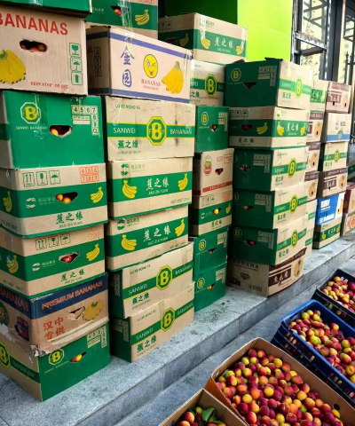 2024年杏多少钱一斤 2024年杏多少钱一斤