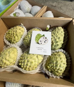 2024年释迦果多少钱一斤 2024年释迦果多少钱一斤