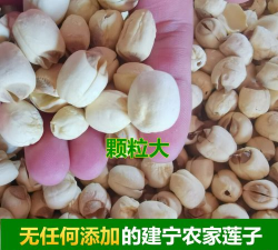 2024年莲子多少钱一斤 2024年莲子多少钱一斤