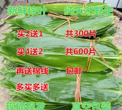 2024年粽叶多少钱一斤 2024年粽叶多少钱一斤