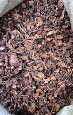 2024年干榛蘑市场价格多少钱一斤 2024年干榛蘑市场价格多少钱一斤