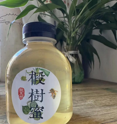 2024年椴树蜜多少钱一斤 2024年椴树蜜多少钱一斤