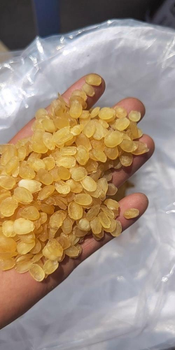 2024年皂角米多少钱一斤 2024年皂角米多少钱一斤