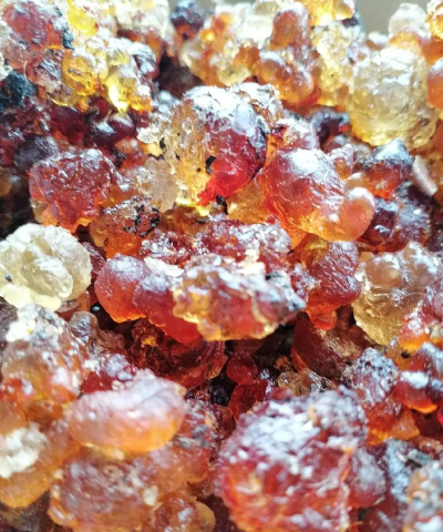 2024年正宗桃胶多少钱一斤 2024年正宗桃胶多少钱一斤