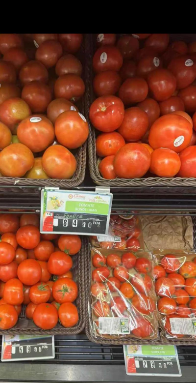 2024年番茄多少钱一斤 2024年番茄多少钱一斤