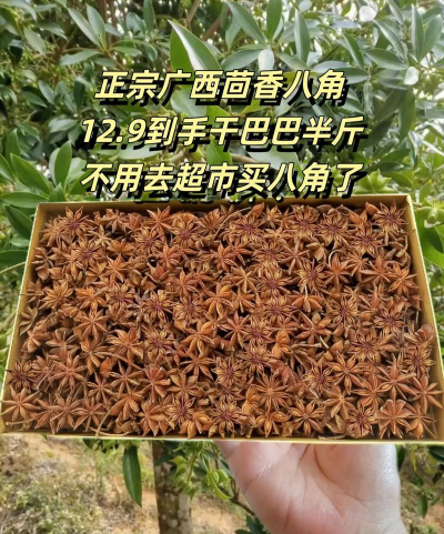 2024年八角多少钱一斤 2024年八角多少钱一斤