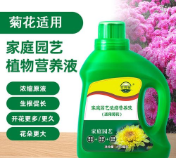 家庭种植菊花施什么肥 家庭种植菊花施什么肥