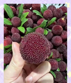 仙居县的特产有哪些 仙居县的特产有哪些