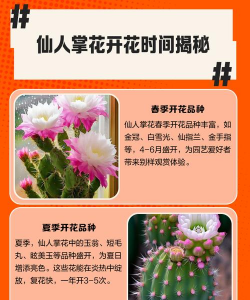 仙人掌会开花吗 仙人掌会开花吗