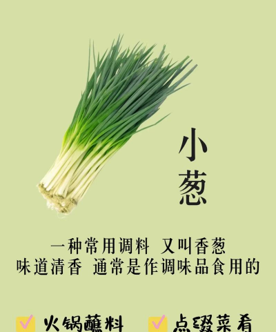 大蒜和大葱的区别 大蒜和大葱的区别