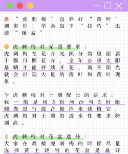 虎刺梅的养殖方法和注意事项 虎刺梅的养殖方法和注意事项