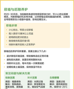 桂花树可以扦插吗 桂花树可以扦插吗