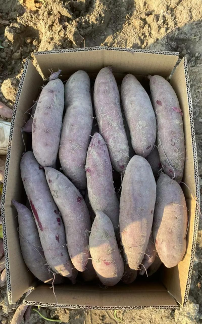 2024年紫薯多少钱一斤 2024年紫薯多少钱一斤