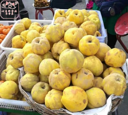 2024年木瓜多少钱一斤 2024年木瓜多少钱一斤