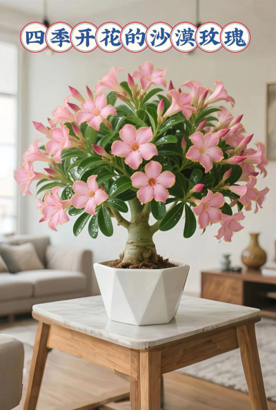 防热防冻有哪些花 防热防冻有哪些花