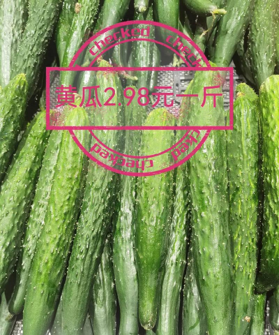 2024年蒜苗多少钱一斤 2024年蒜苗多少钱一斤